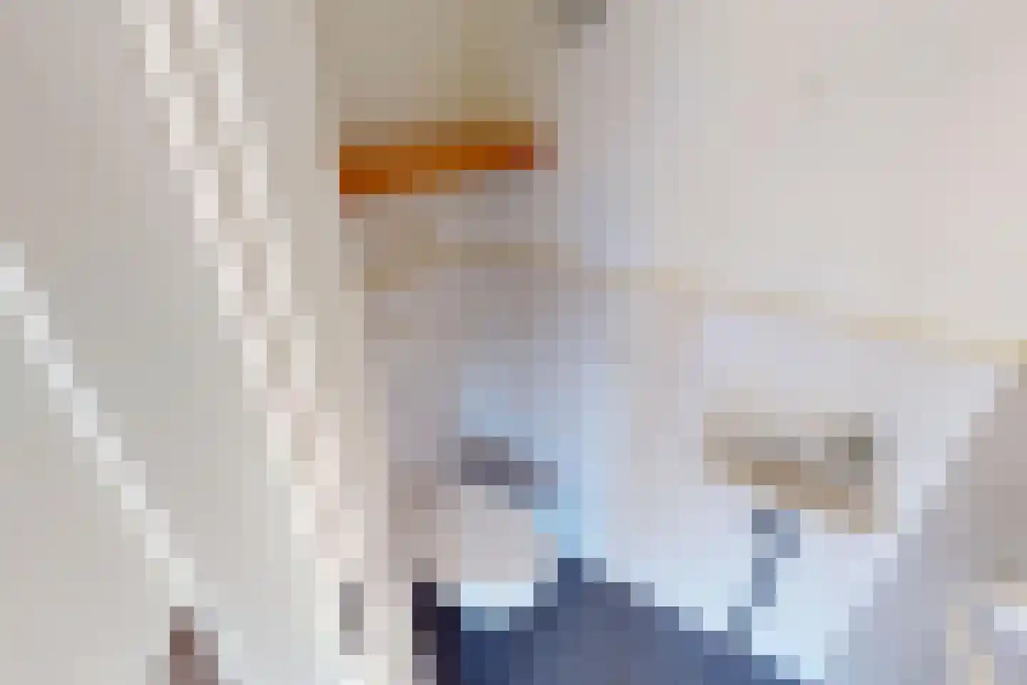 Eg 4 Bovenkarspel thumbnail 14