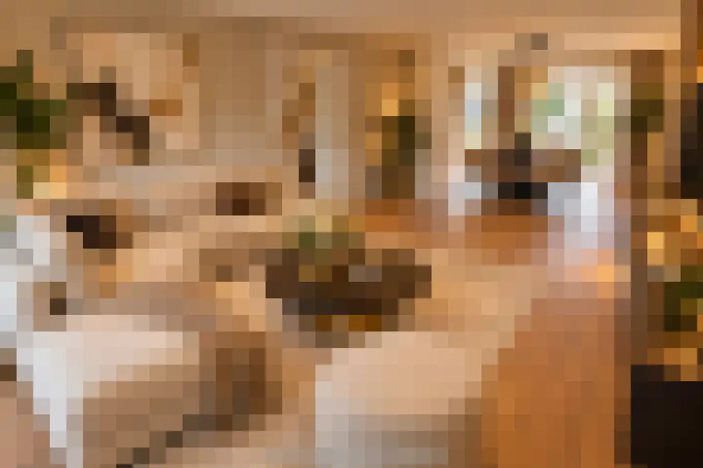 Eg 4 Bovenkarspel thumbnail 16