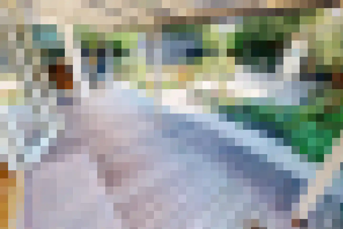 Eg 4 Bovenkarspel thumbnail 26