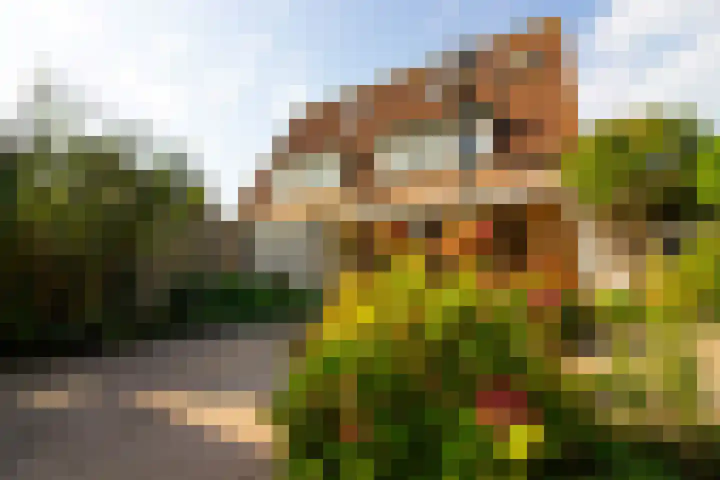 Eg 4 Bovenkarspel thumbnail 39