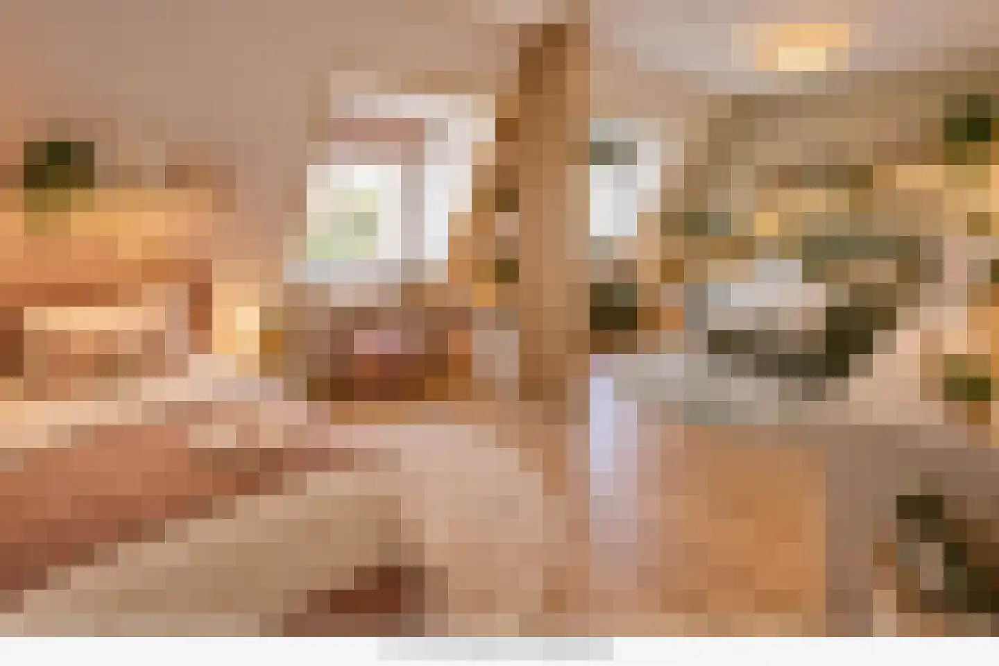 Eg 4 Bovenkarspel thumbnail 47