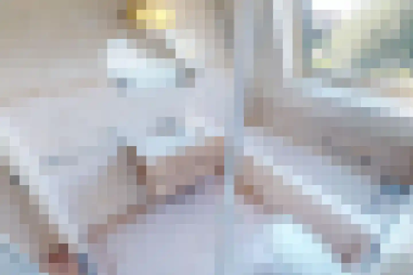 Eg 4 Bovenkarspel thumbnail 58