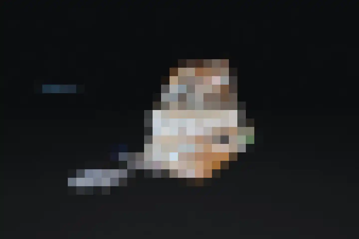 Eg 4 Bovenkarspel thumbnail 69