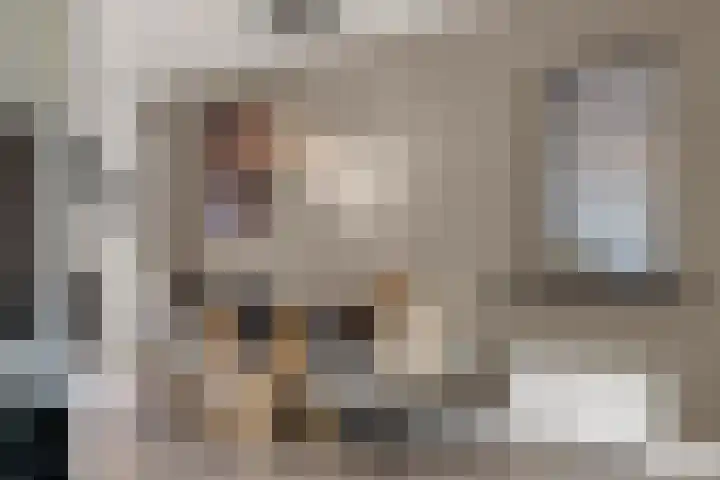 Eg 6 Didam thumbnail 14