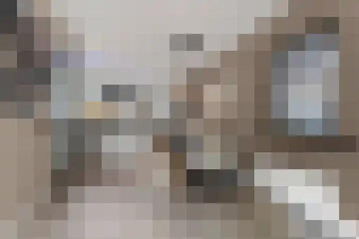 Eg 6 Didam thumbnail 15