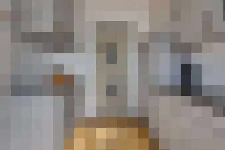 Eg 6 Didam thumbnail 17