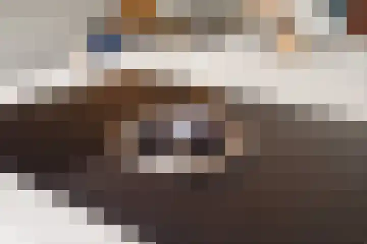 Eg 6 Didam thumbnail 22