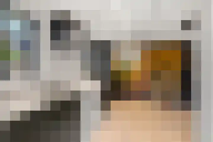 Eg 6 Didam thumbnail 24