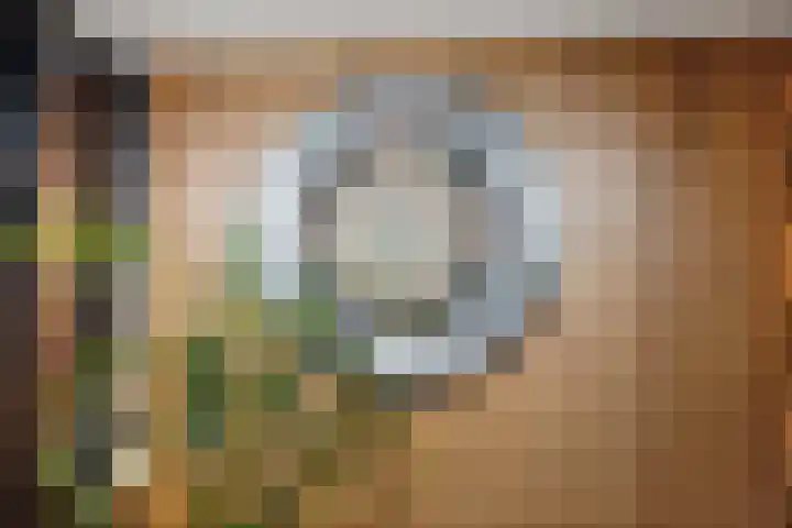 Eg 6 Didam thumbnail 26