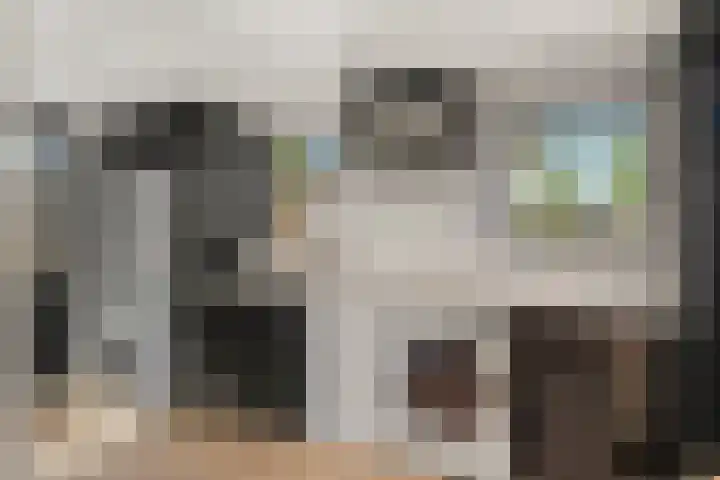 Eg 6 Didam thumbnail 30