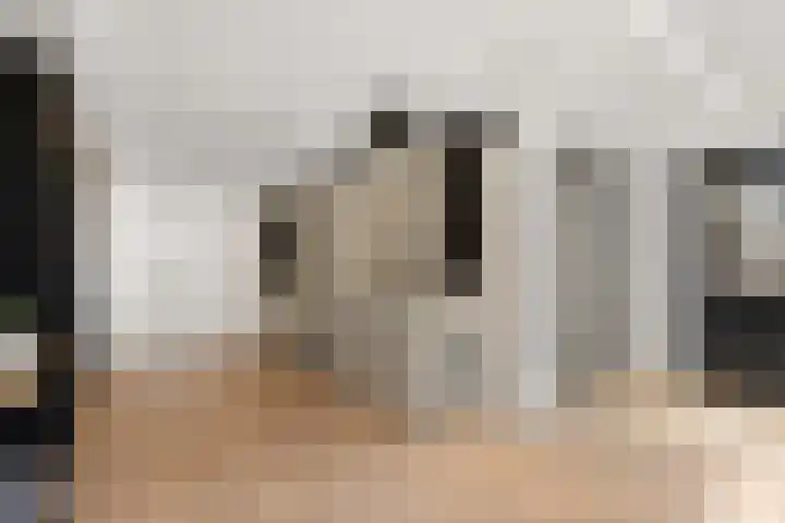 Eg 6 Didam thumbnail 33