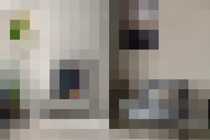 Eg 6 Didam thumbnail 4