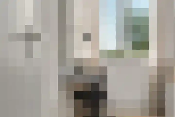 Eg 6 Didam thumbnail 40