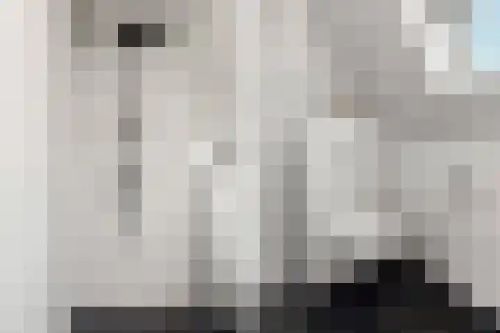 Eg 6 Didam thumbnail 46