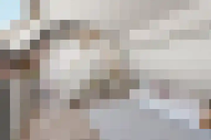 Eg 6 Didam thumbnail 48