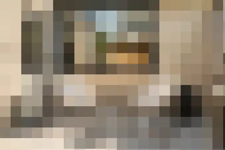 Eg 6 Didam thumbnail 51