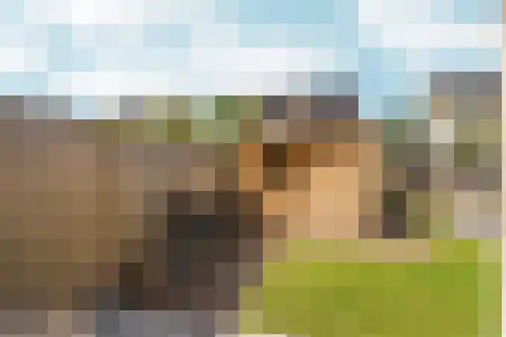 Eg 6 Didam thumbnail 52