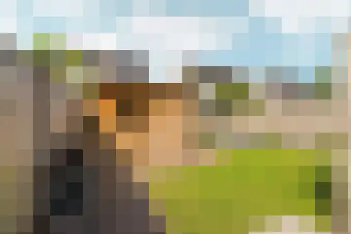 Eg 6 Didam thumbnail 53