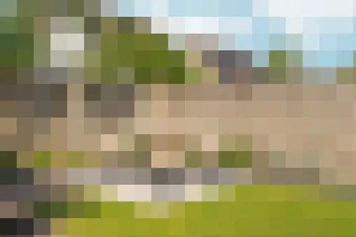 Eg 6 Didam thumbnail 56