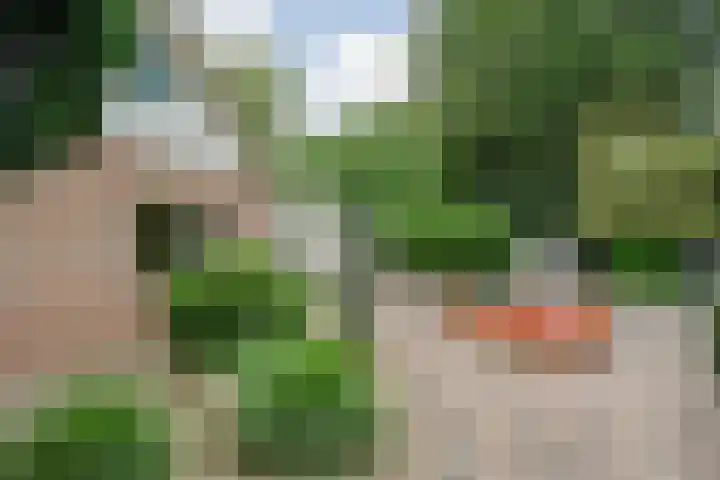 Eg 6 Didam thumbnail 58