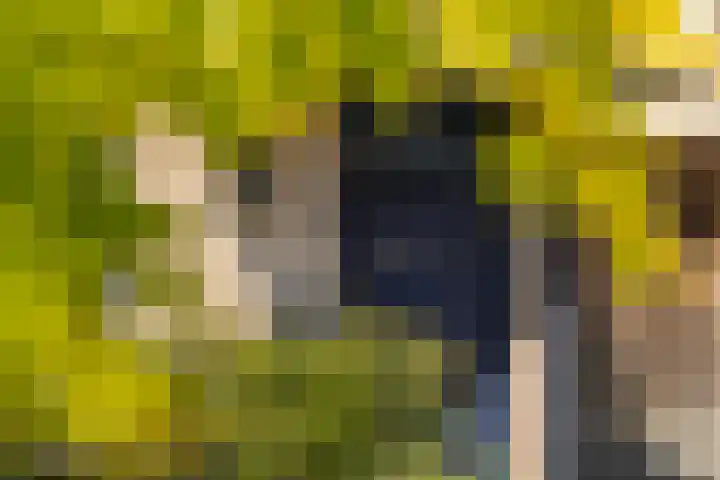 Eg 6 Didam thumbnail 6