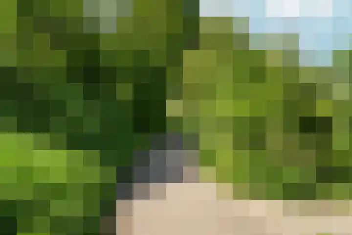 Eg 6 Didam thumbnail 60