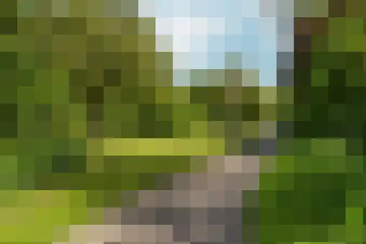 Eg 6 Didam thumbnail 61