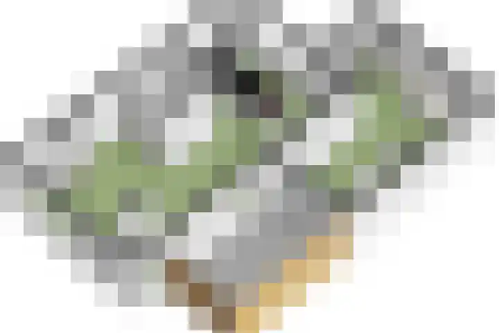 Eg 6 Didam thumbnail 63