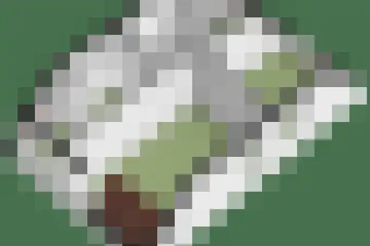 Eg 6 Didam thumbnail 64