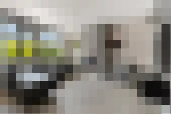 Eg 6 Didam thumbnail 8