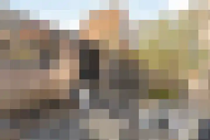 Egbert de Grootstraat 24 Noordwijk thumbnail 16