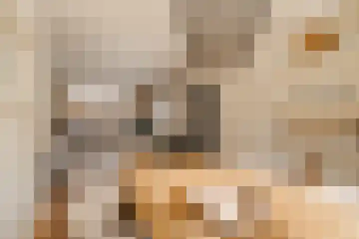 Egbert de Grootstraat 24 Noordwijk thumbnail 9