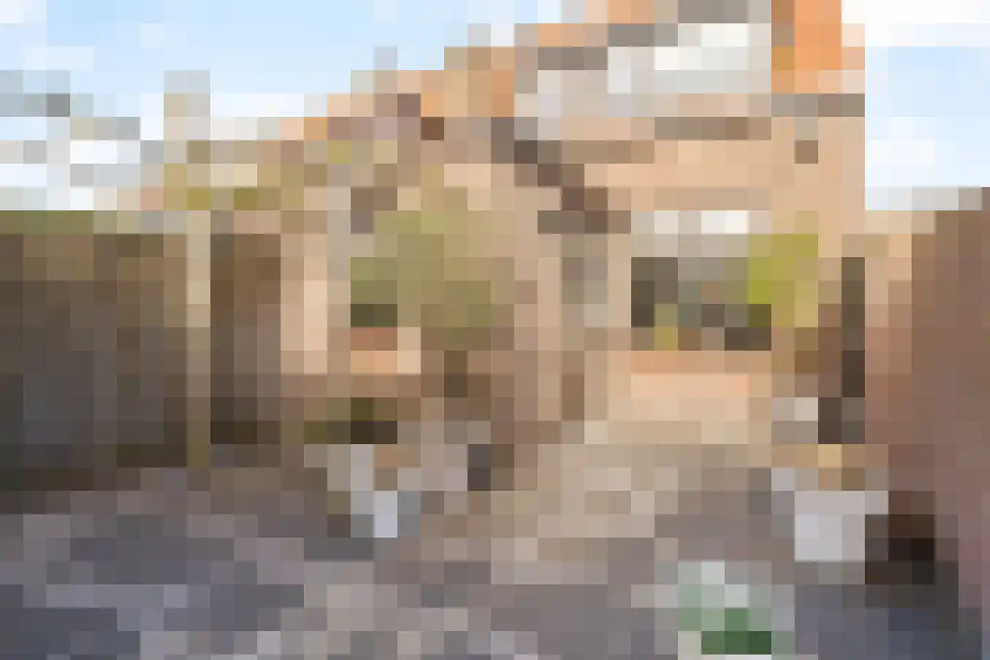 Egbert de Grootstraat 24 Noordwijk (ZH) thumbnail 15