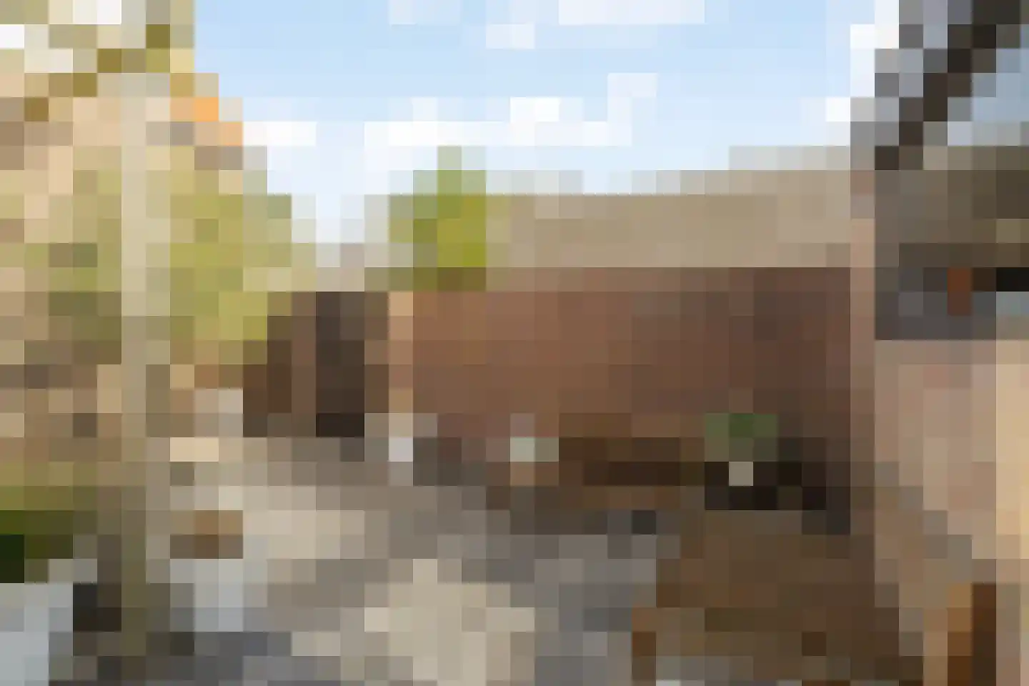 Egbert de Grootstraat 24 Noordwijk (ZH) thumbnail 17