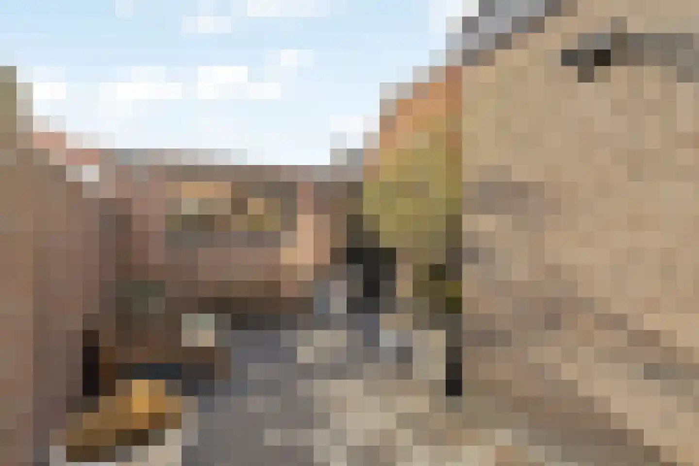 Egbert de Grootstraat 24 Noordwijk (ZH) thumbnail 18