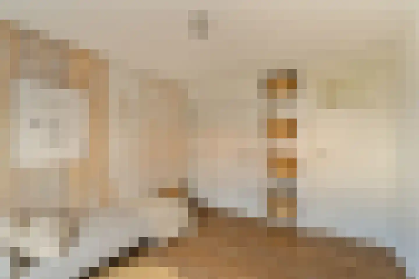 Egbert de Grootstraat 24 Noordwijk (ZH) thumbnail 22