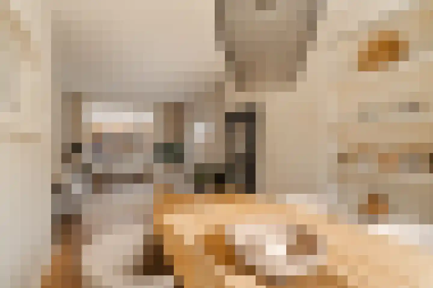 Egbert de Grootstraat 24 Noordwijk (ZH) thumbnail 9