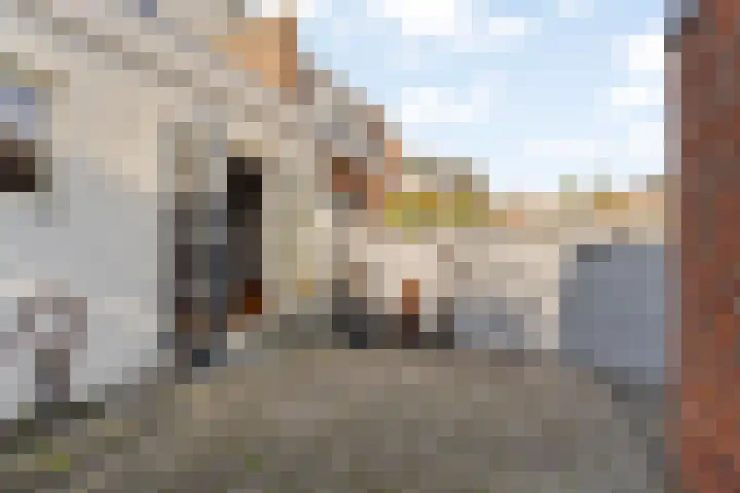 Egbert de Grootstraat 30 Noordwijk thumbnail 12