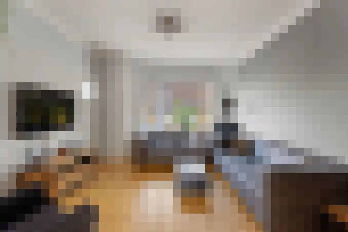 Egbert de Grootstraat 30 Noordwijk thumbnail 6