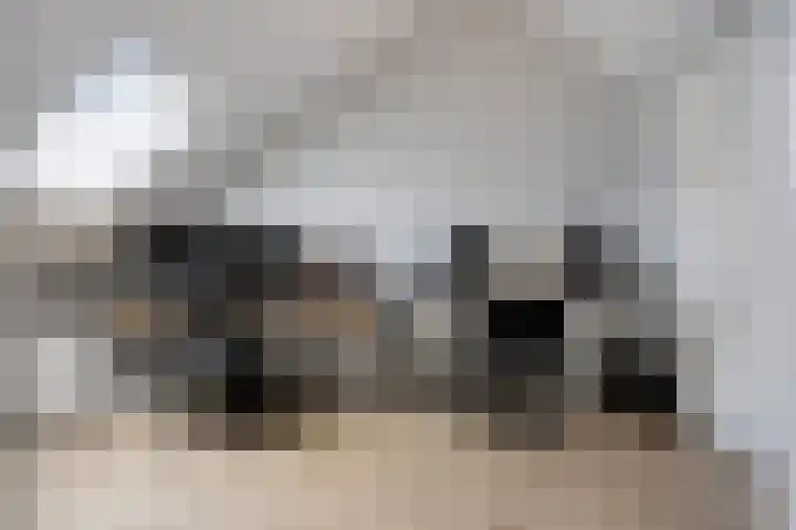 Egbert Dekkershof 12 Zeeland thumbnail 23