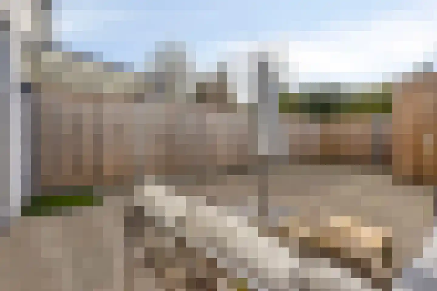 Egbert Dekkershof 12 Zeeland thumbnail 26