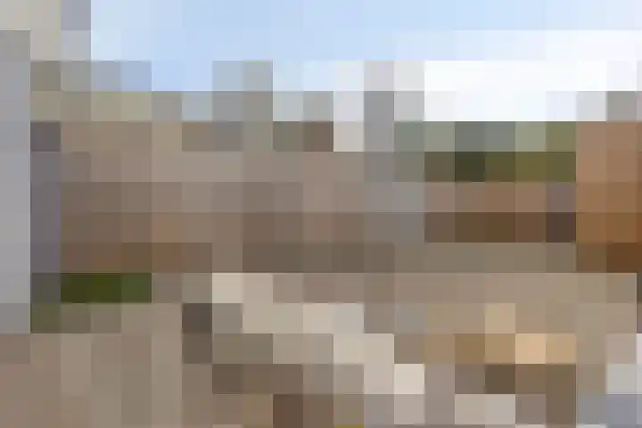 Egbert Dekkershof 12 Zeeland thumbnail 26