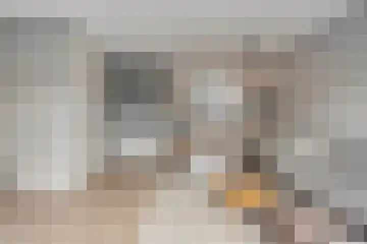 Egbert Dekkershof 12 Zeeland thumbnail 6