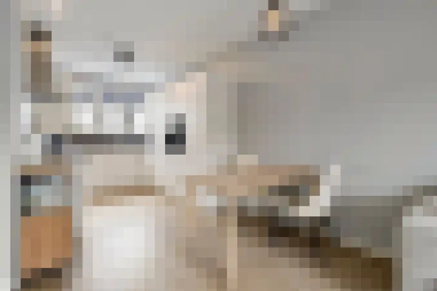 Egbert Dekkershof 12 Zeeland thumbnail 7