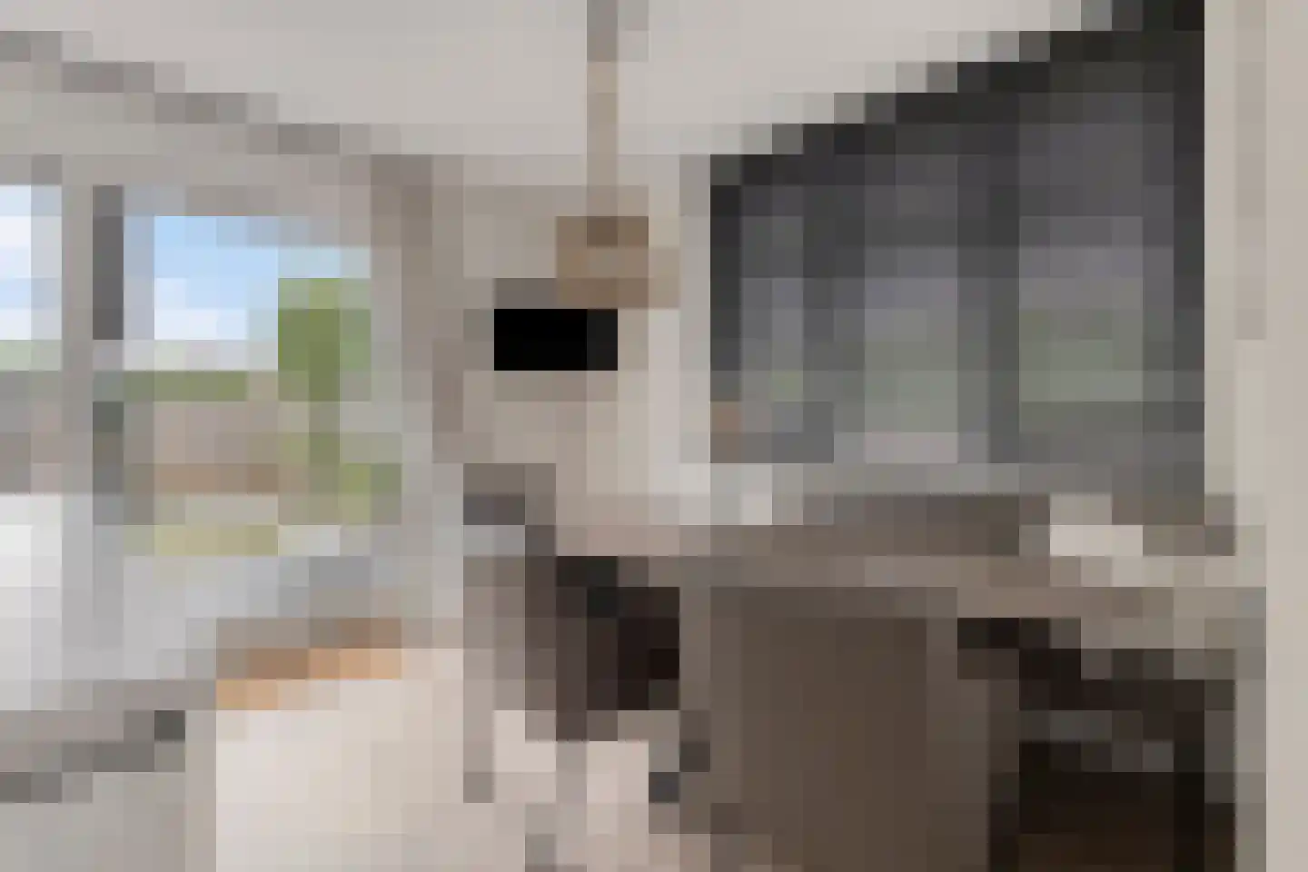 Egbert Dekkershof 2 Zeeland thumbnail 18