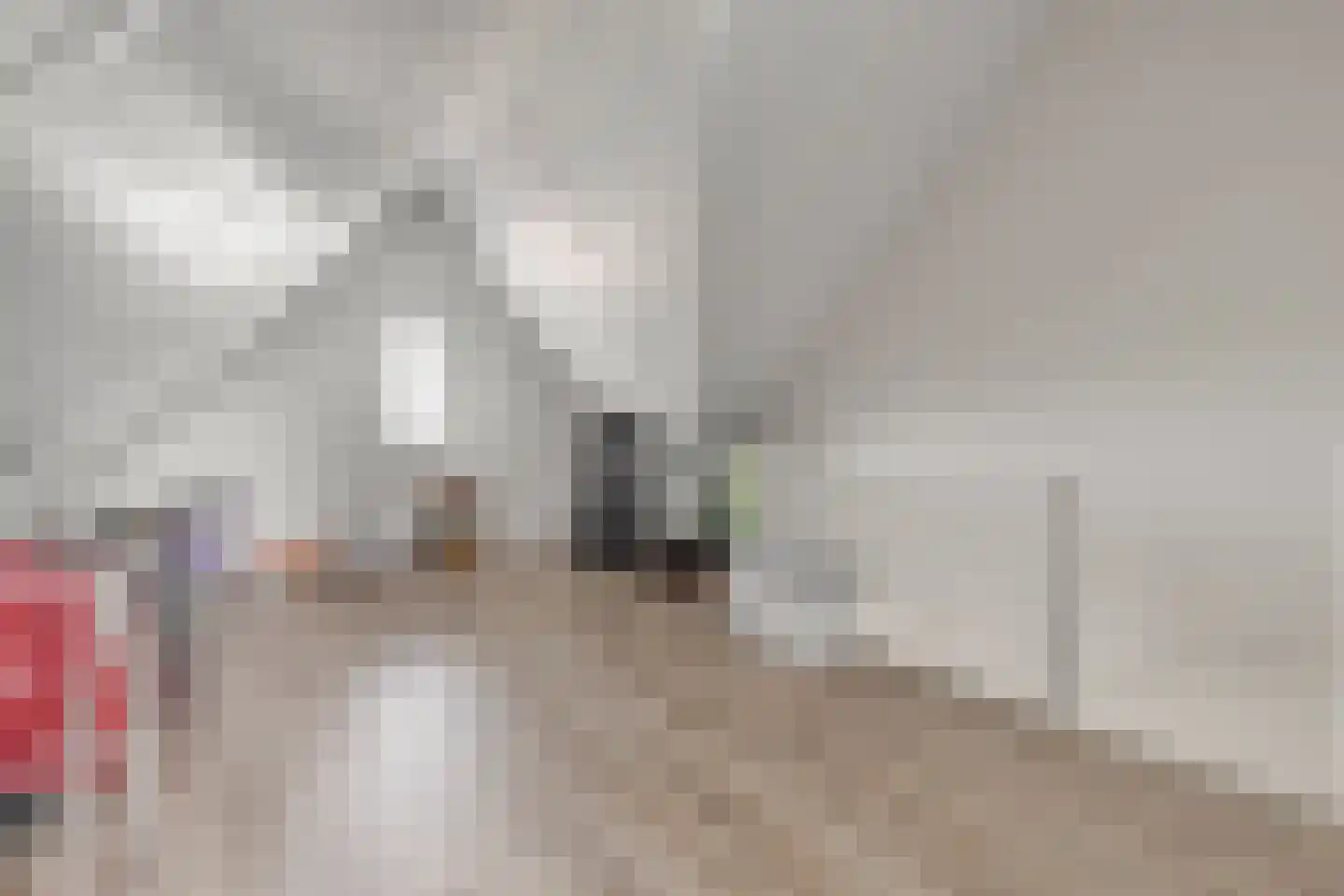 Egbert Dekkershof 2 Zeeland thumbnail 28