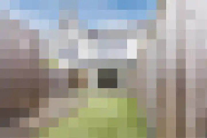 Egbert Dekkershof 4 Zeeland thumbnail 33