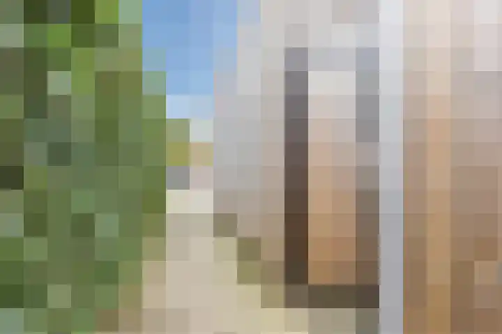 Egbert Dekkershof 4 Zeeland thumbnail 38