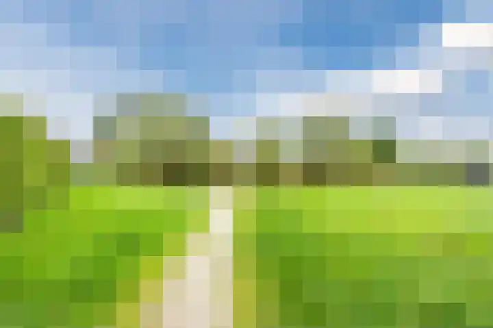 Egbert Dekkershof 4 Zeeland thumbnail 39