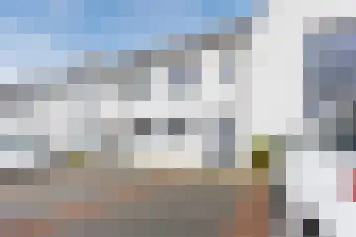 Egbert Dekkershof 4 Zeeland thumbnail 4